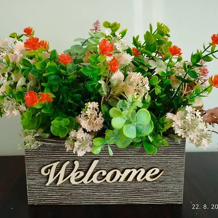 Prenociste Lana 3 아파트 Novi Banovci